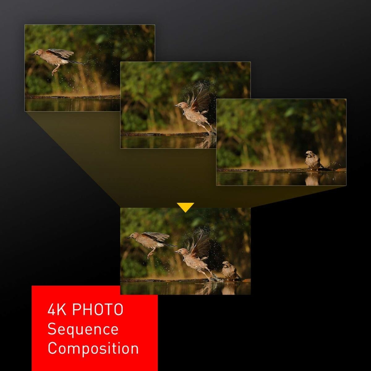 Máy Ảnh Panasonic Lumix LX100 II