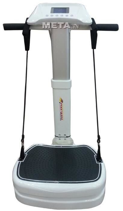 Máy rung đứng Royal 8039