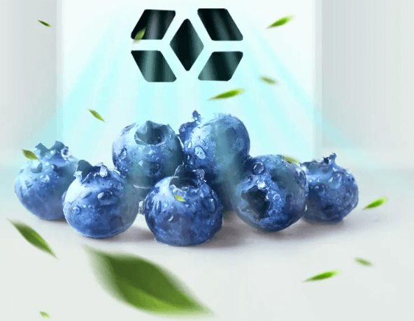 Tủ lạnh AQUA AQR-T220NE(HB) còn được áp dụng công nghệ DEO FRESH để khử mùi, diệt khuẩn