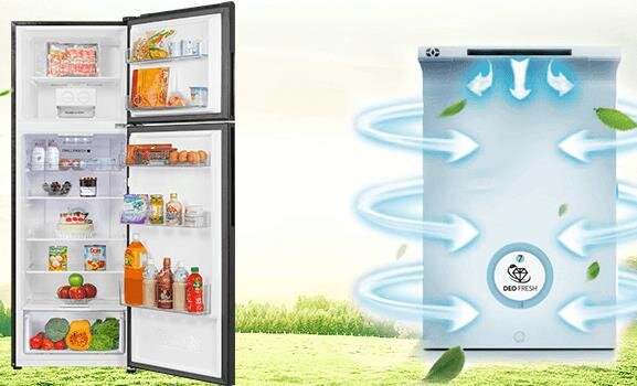 Tủ lạnh Aqua AQR-IG248EN - 249L Inverter