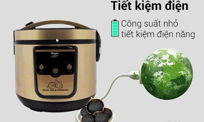 Máy làm tỏi đen  Magic 90W A-79