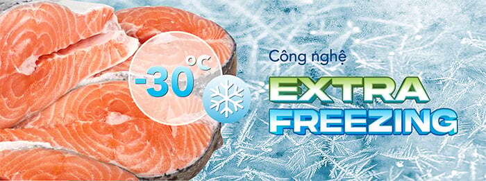 Tủ tích hợp công nghệ Extra Freezing Tủ đông Hòa Phát Inverter HPF BD8205