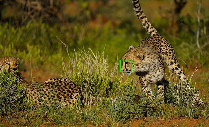 Máy Ảnh Sony A7R MARK IV (ILCE-7RM4) Body