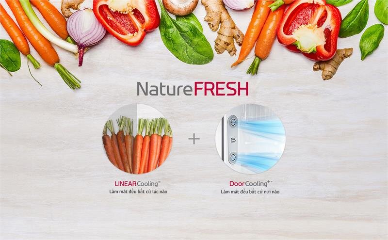 Tủ lạnh LG GN-D602BL Inverter 475 lít Tủ lạnh LG GN-D602BL Inverter 475 lít
