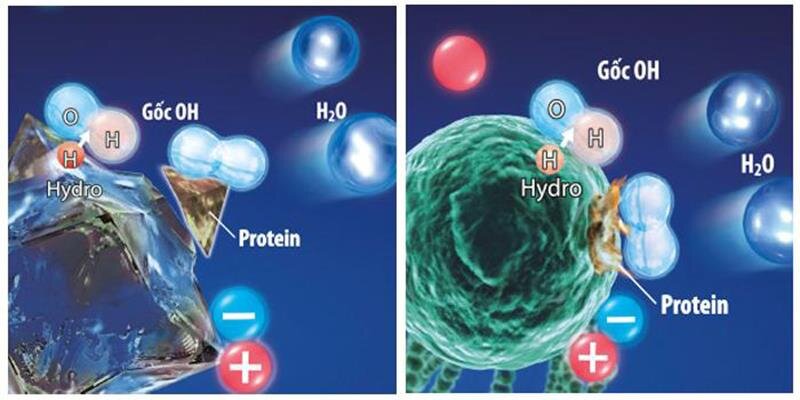 Tủ lạnh 5 cánh SBS Sharp SJ-F5X76VM-SL 768 Lít, J-Tech Inverter