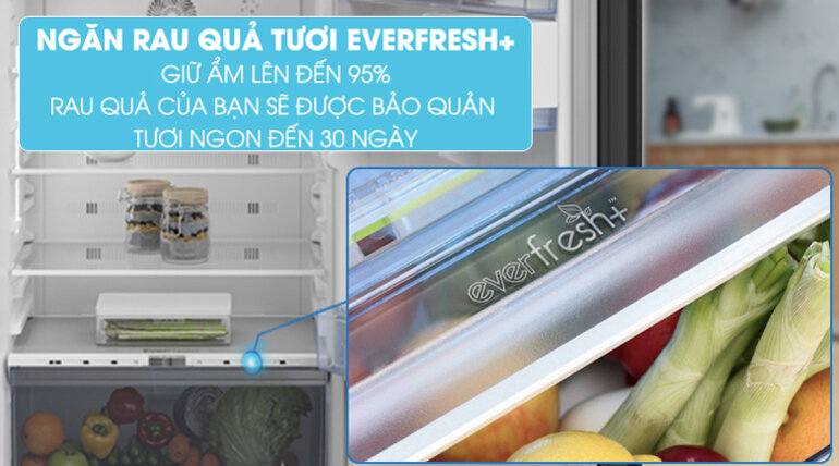 Tủ lạnh Beko Inverter 375 lít RDNT401I50VGB