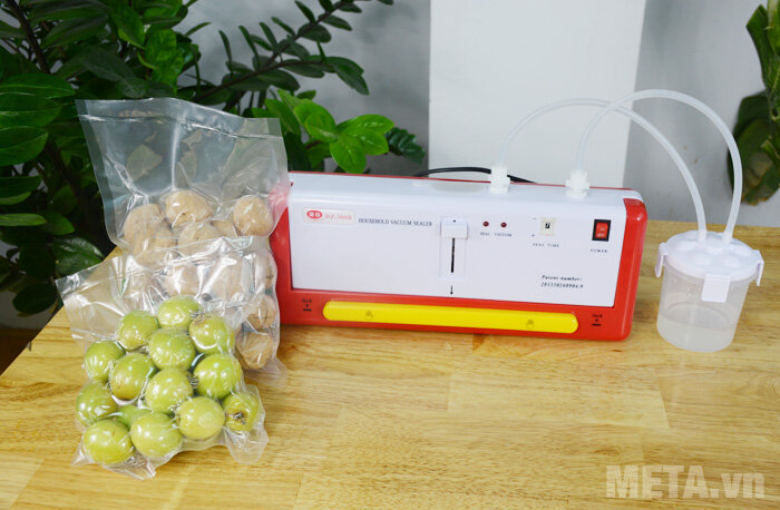 Máy hút chân không DZ300B