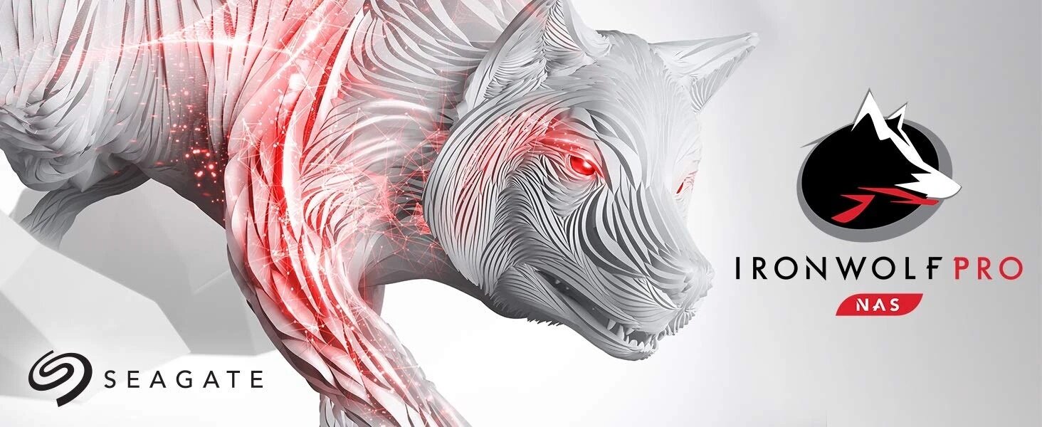 Ổ cứng HDD Seagate Ironwolf Pro 