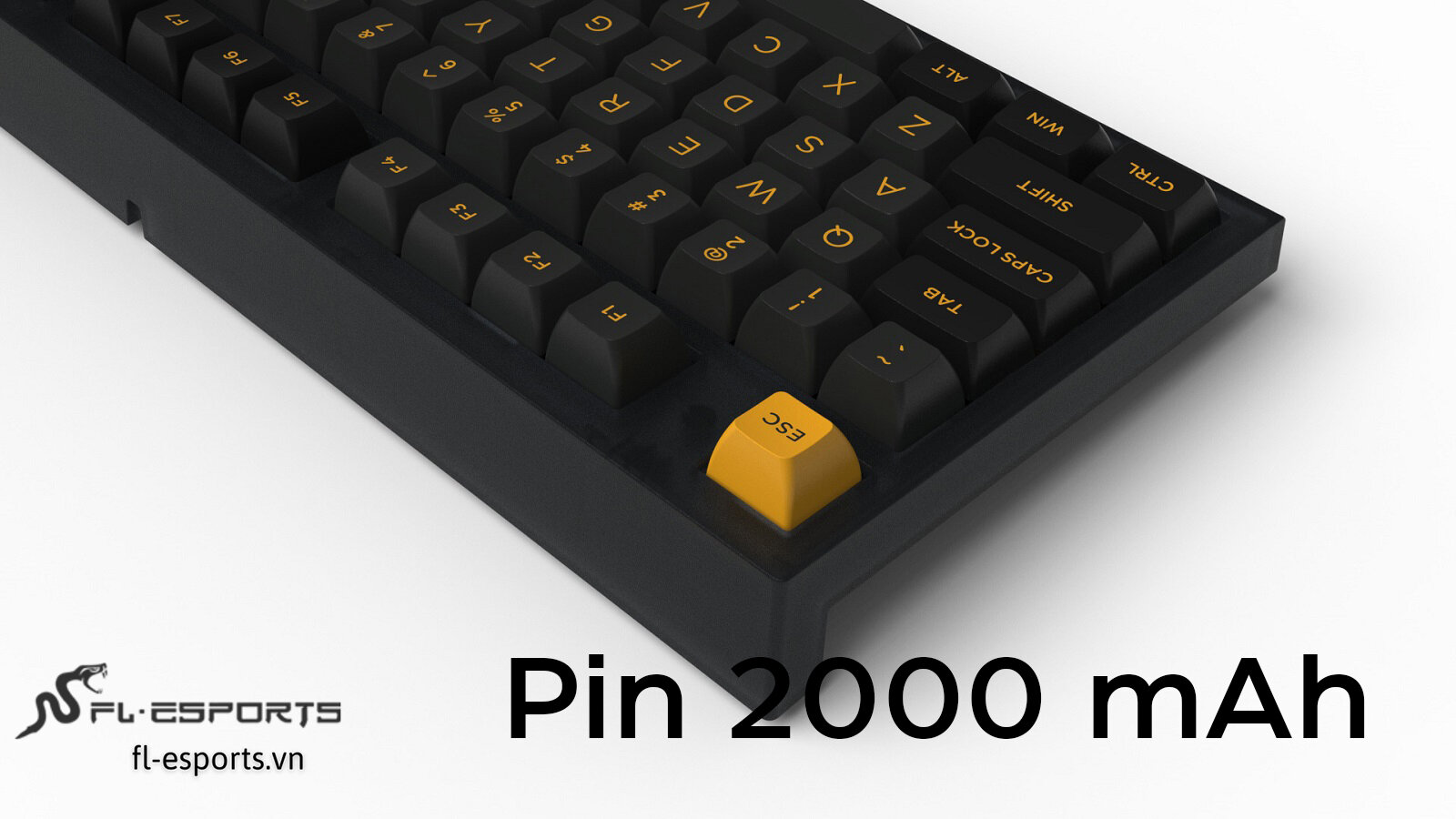 Bàn phím cơ Không dây FL-Esport FL750 SAM Polar Night RGB