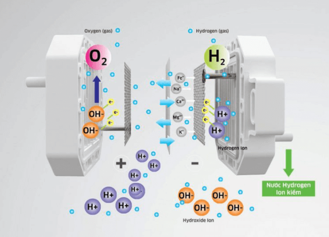Máy lọc nước Kangaroo KG100MED được áp dụng công nghệ điện phân nước RO