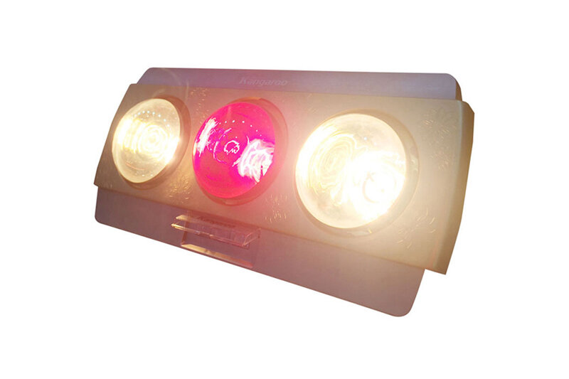 Đèn sưởi Kangaroo KG252A Đèn sưởi Kangaroo KG252A
