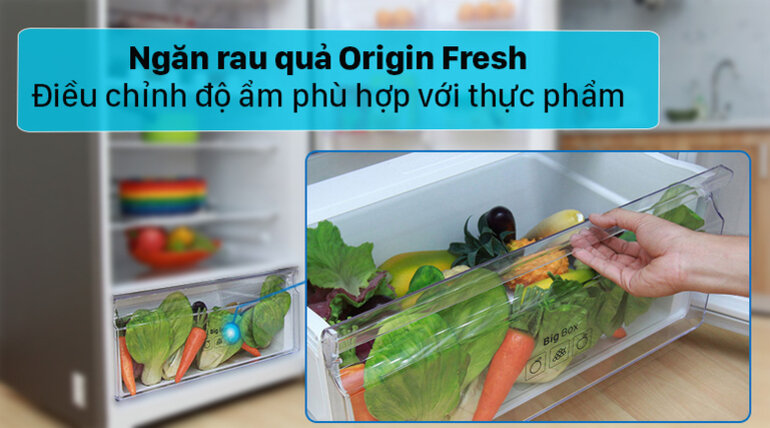 Tủ lạnh Toshiba Inverter 366 lít GR-RT435WEA-PMV(06)-MG