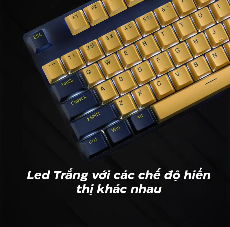  Rapoo V500 Pro Yellow Blue 4