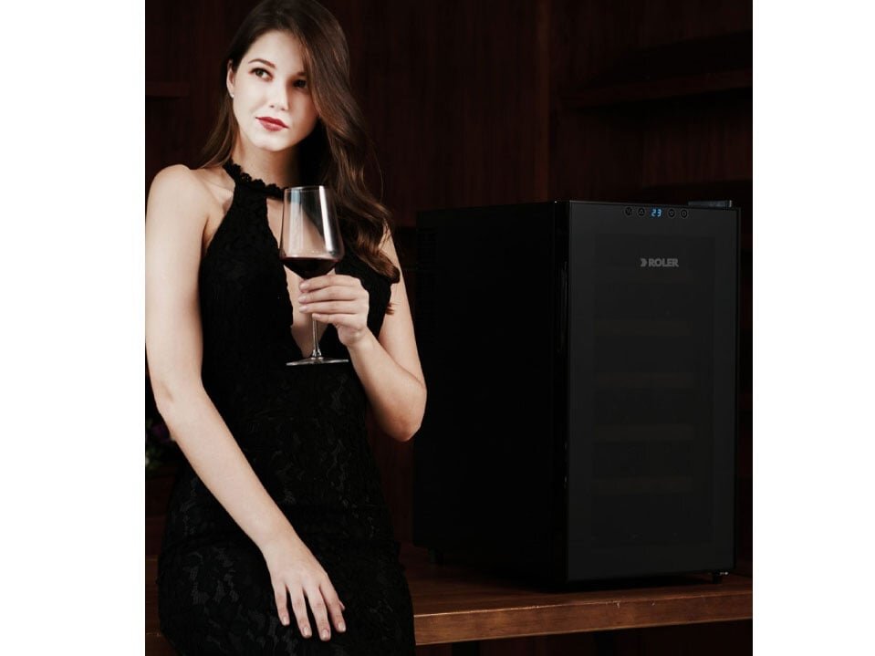 Tủ ướp rượu Roler RW-1016 