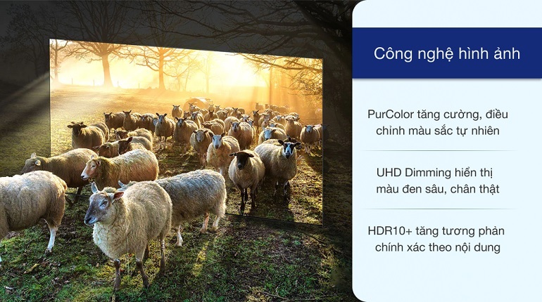 smartphone samsung smartphone samsung