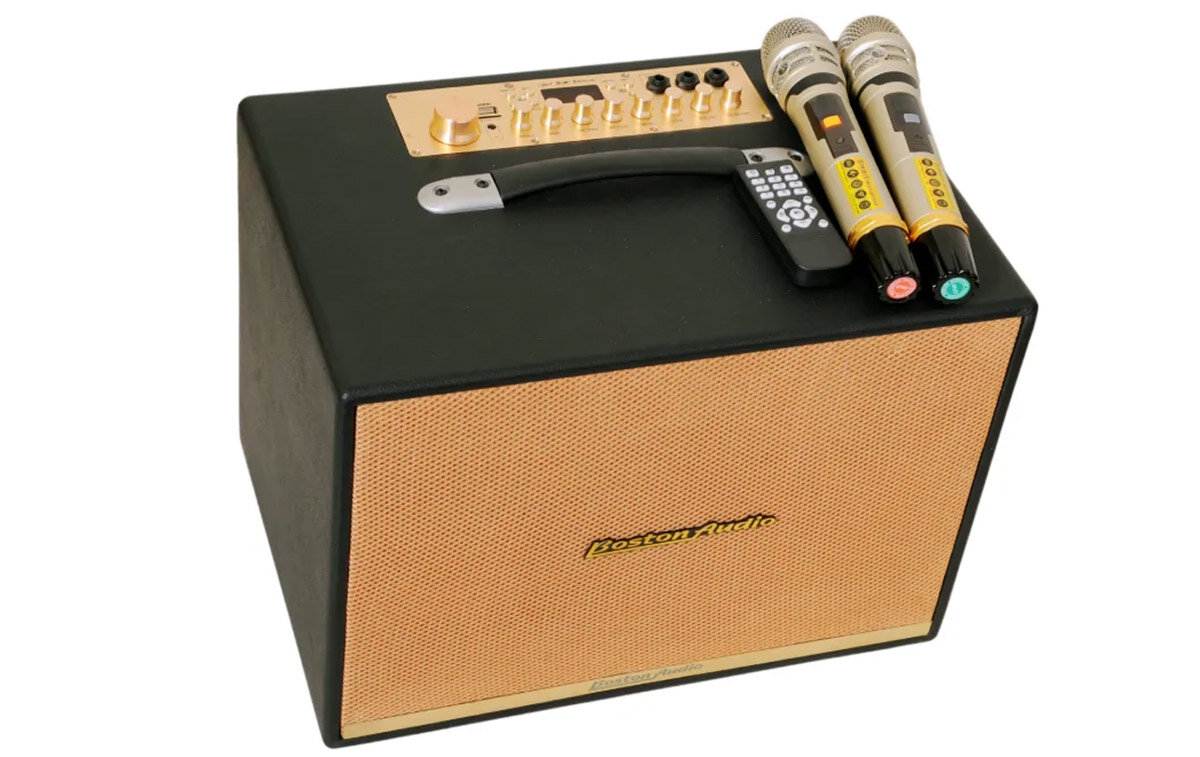 Thiết kế tổng quan loa Boston Audio BA 9999 VII