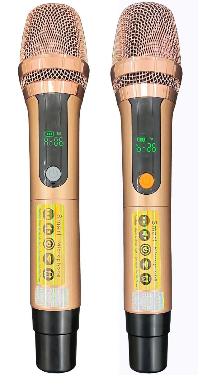 Loa đi kèm đôi micro không dây chất lượng cao