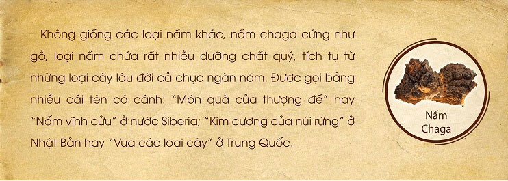 Thực phẩm chức năng bảo vệ sức khỏe Beta Glucan Ball 60g - Khắc tinh tế bào ung thư