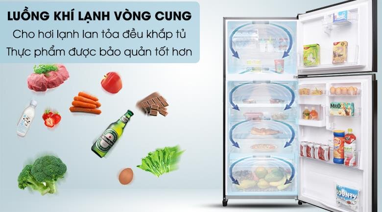 Tủ lạnh 2 cánh Inverter Toshiba GR-AG41VPDZ/XK1 - 359 Lít (Gương Đen)