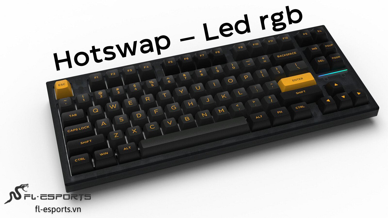 Bàn phím cơ Không dây FL-Esport FL750 SAM Polar Night RGB