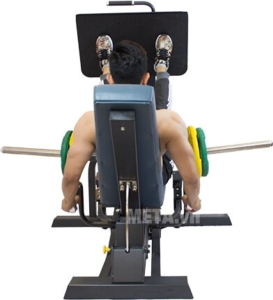 Máy tập đạp đùi Tiger Sport Premium TGP-460