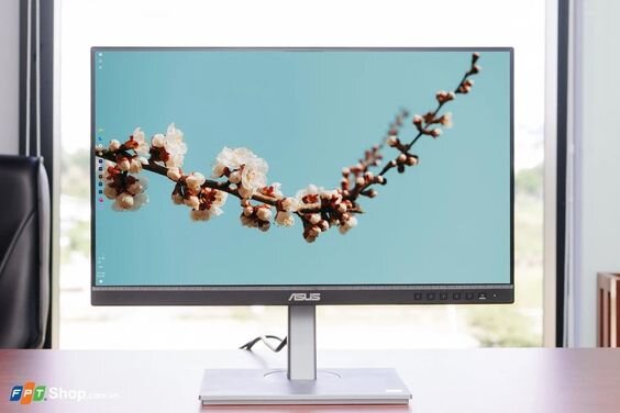 Màn hình Asus ProArt PA247CV-P (Ảnh 9)