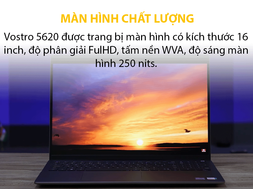 Laptop Dell Vostro 5620