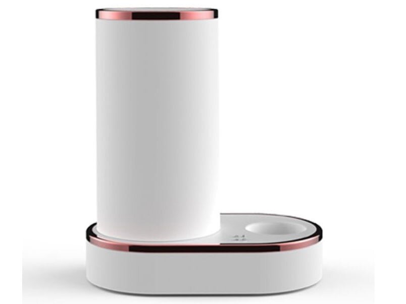 Bàn chải đánh răng điện  