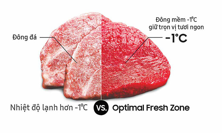 Tủ Lạnh Inverter Samsung RB27N4010S8/SV (280L) - Hàng chính hãng