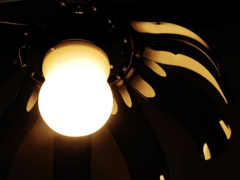 quạt trần Mr Vũ