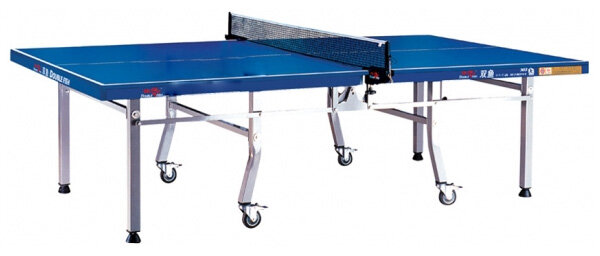 Bàn bóng bàn Double Fish DF-301