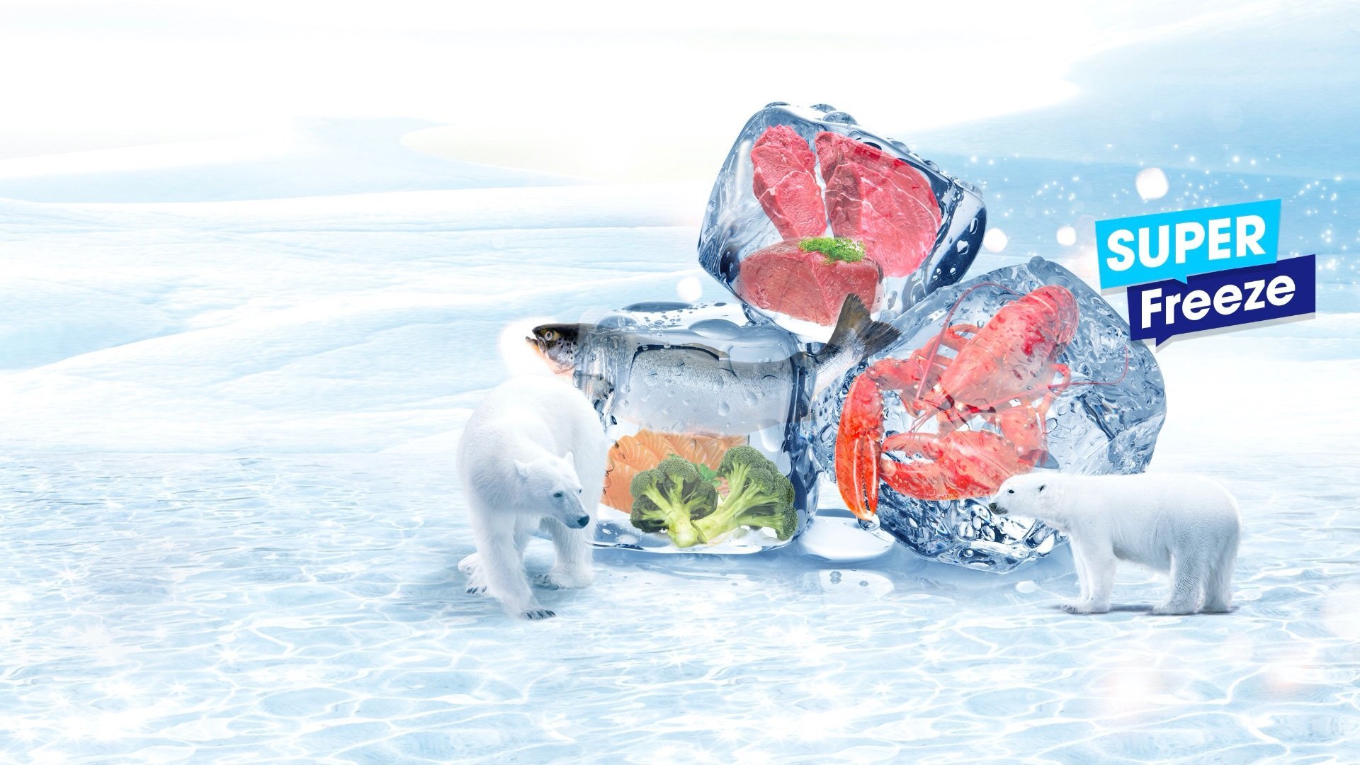 Tủ đông Hisense 420 lít FC520D4EWC1