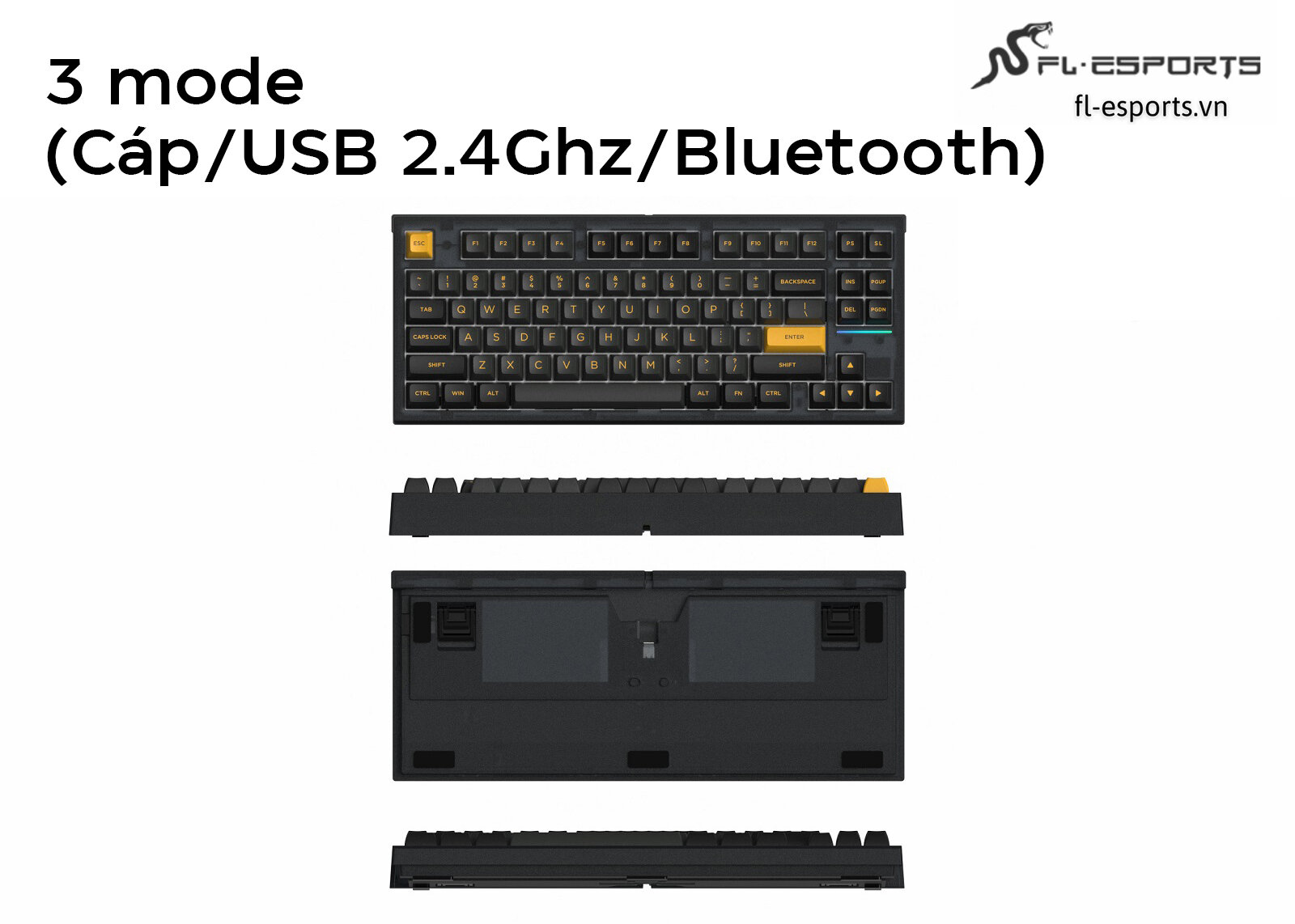 Bàn phím cơ Không dây FL-Esport FL750 SAM Polar Night RGB