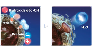 Máy lọc không khí Sharp IG-A20E-W