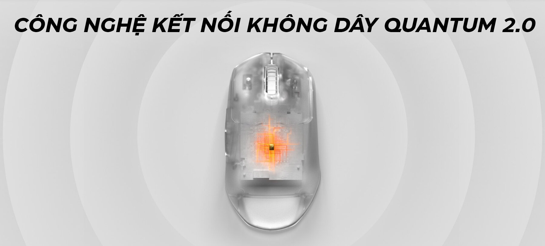 Chuột không dây Steelseries Prime wireless (62593) (USB/RGB) 5