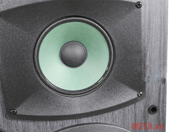 Loa karaoke đứng Paramax F1000