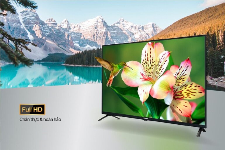 Tivi Smart Rindo Full HD 42 inch R-42BF6900-AR11