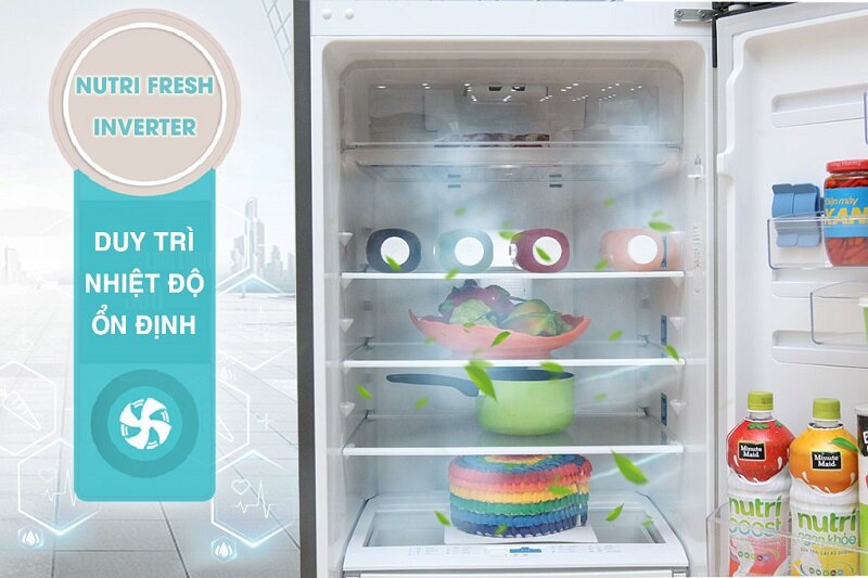Tủ lạnh Electrolux 318 lít ETB3200MG Tủ lạnh Electrolux 318 lít ETB3200MG