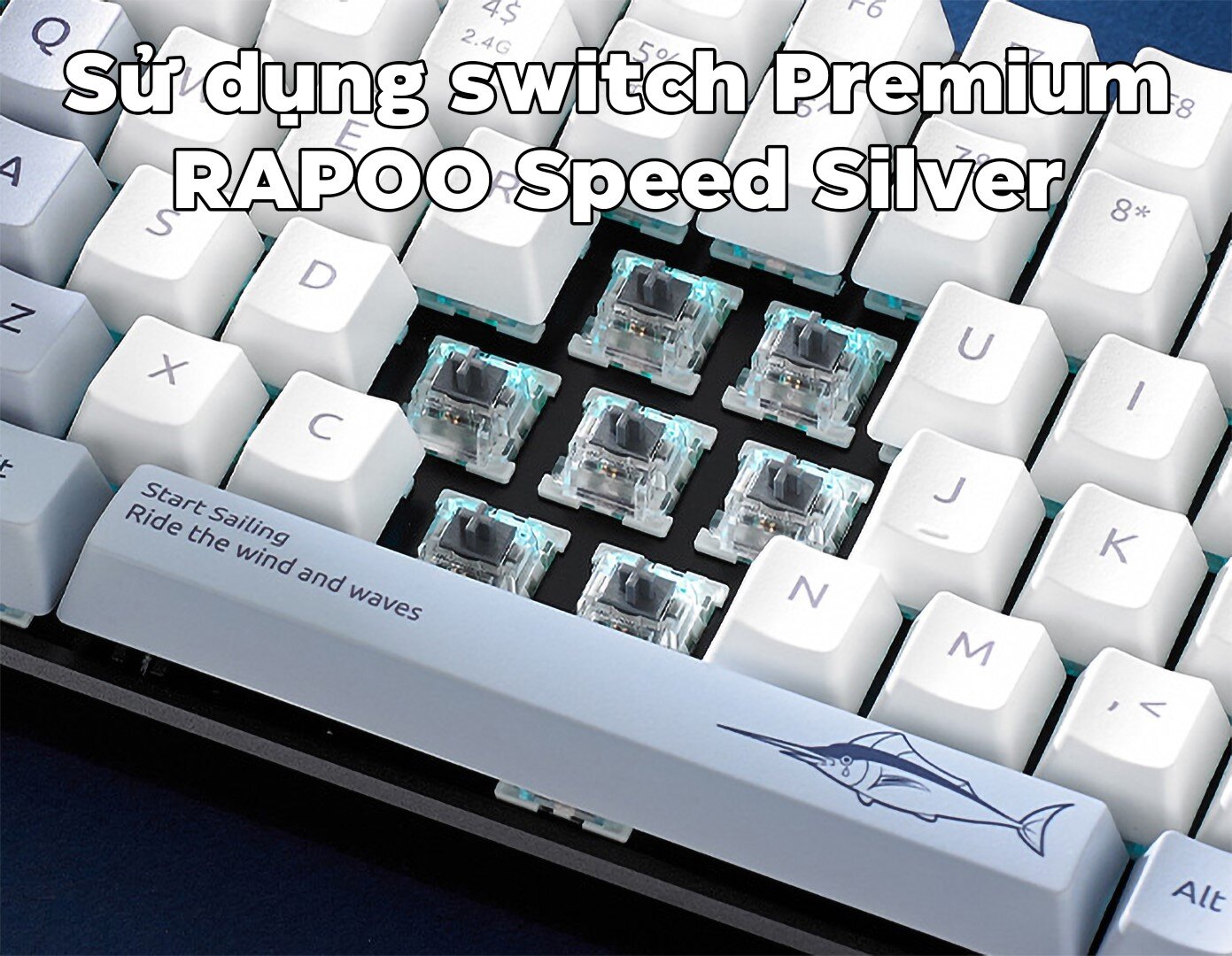 Bàn phím cơ không dây Rapoo MT510PRO Blue light (USB+ Wireless)