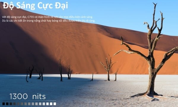 TV TCL 4K 65C755 độ sáng cực đại
