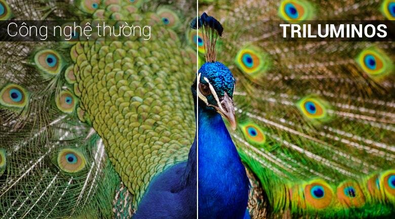 Smart Tivi Sony 55 inch 55X8500F, Android 7.0, 4K HDR, MXR 800