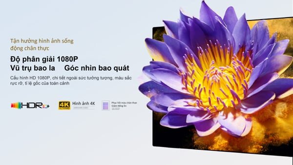 Hình ảnh chân thực, sắc nét Wanbo T6R Max mang lại hình ảnh chân thực