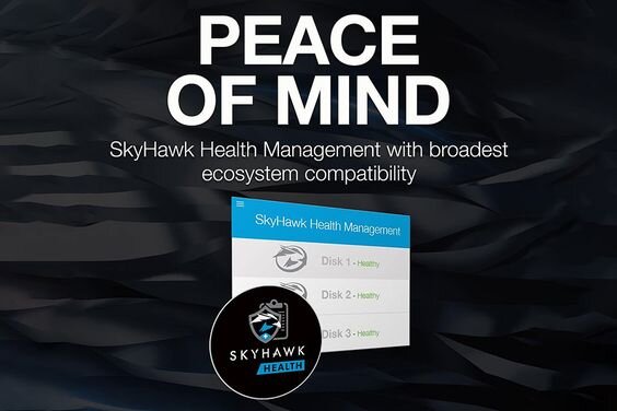 Ổ cứng HDD Seagate SkyHawk AI 8TB 7200rpm Sata 3.5'' (ST8000VE001) 33