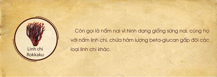 Thực phẩm chức năng bảo vệ sức khỏe Beta Glucan Ball 60g - Khắc tinh tế bào ung thư