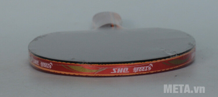 Vợt bóng bàn mút DHS-2002