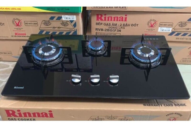 Bếp gas âm Rinnai RVB-312BG