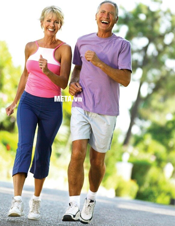 Máy chạy bộ điện Viking Sports VK-66AD