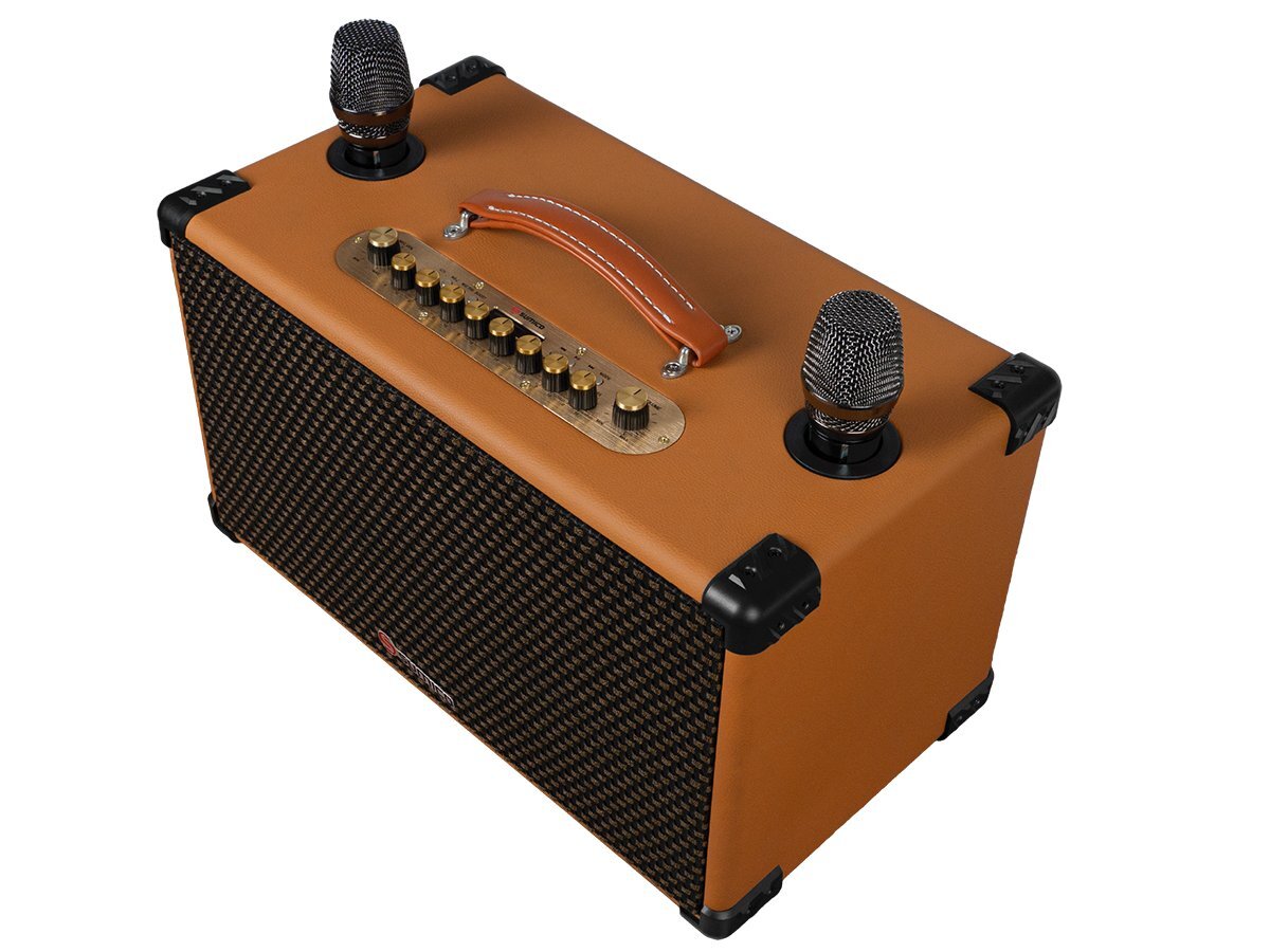 loa karaoke di động 