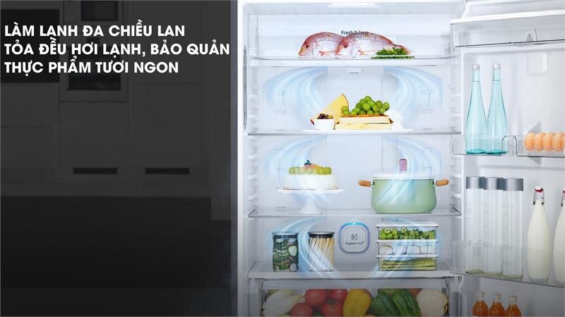 Tủ lạnh LG GN-D315BL - 315 Lít Linear Inverter