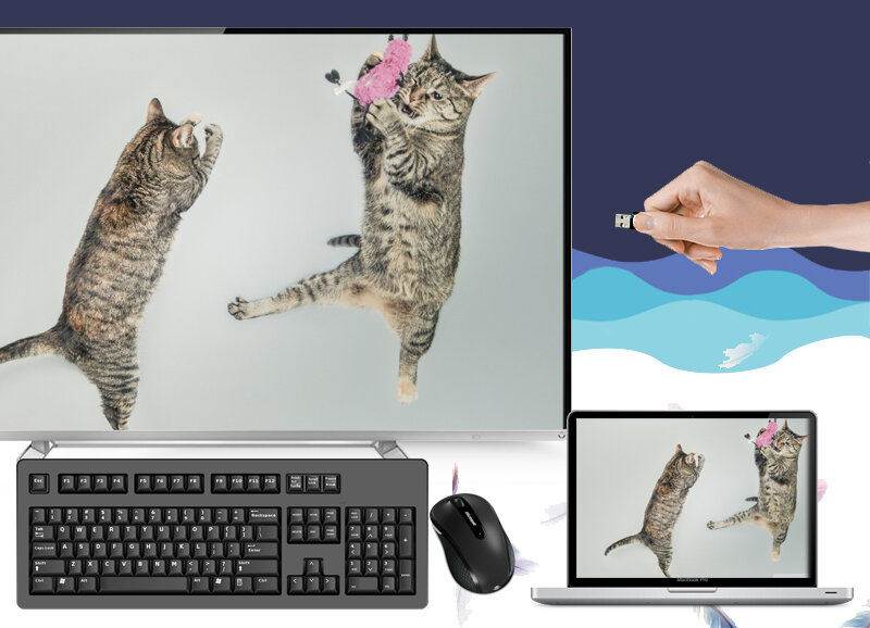 Smart Tivi Toshiba 55 inch 55L5450 Smart Tivi Toshiba 55 inch 55L5450